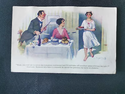 CPA Mum You Told Me To Serve The Tomatoes - Donald Mac Gill Illustration • $7.44