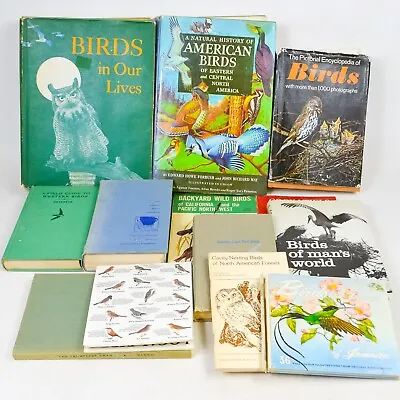HUGE LOT Ornithology Bird Illustrated HC/DJ & PPB Coffee Table & Field Guides • $19.99