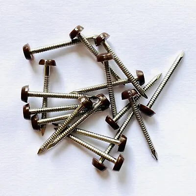 £3.39 • Buy 50 X 30mm Brown UPVC Plastic Headed Pins Nails Poly Top A4 Stainless Steel