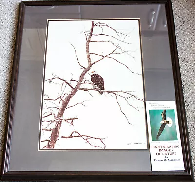 1979 Thomas D. Mangelsen Bald Eagle Autograph Signed 23 X27  Photo #d/500 Framed • $169.99
