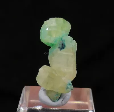 27mm Green Plumbogummite On Cerussite W/ Glass Stand  Natural Mineral Specimen • $4.99