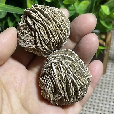 $18.85 • Buy 2pcs Desert Rose Selenite Stone Natural Quartz Crystal Specimen Decor 112g A10