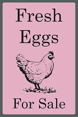 Fresh Eggs For Sale Vintage Style New Metal Sign Plaque Chicken Pink Portrait • £4.95