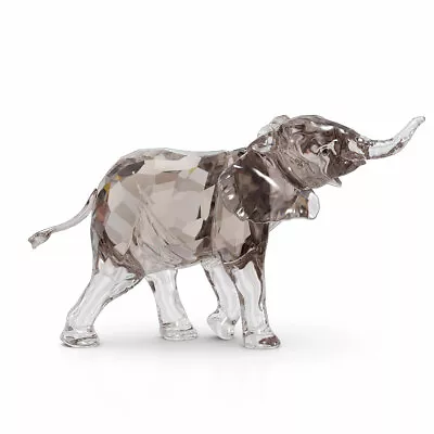 $199.99 • Buy Swarovski Crystal Elegance Of Africa Scs 2022 Baby Elephant Mandisa 5608544.new