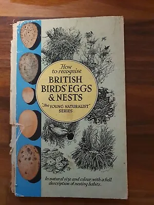 £13 • Buy British Birds Eggs And Nests: Where, When And How To Find And Recognise Them 