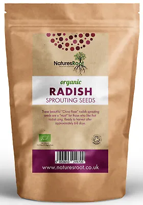 £16.99 • Buy Organic Radish Sprouting Seeds China Rose Superfood Vegetable Microgreen Sprouts