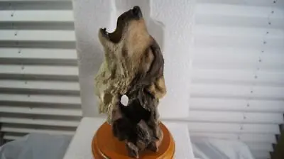 Mill Creek Studios -  Taps  Wolf Sculpture  #7114 • $110