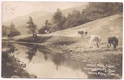 MICHIGAN CITY IN Postcard UPPER TRAIL CREEK Cows INDIANA Smith Photo RPPC C.1910 • $12.95
