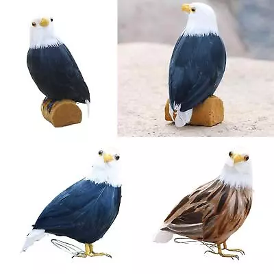 Unique Realistic Feather Bird Eagle Yard Art Birds Accent Animals Handcrafted • £5.94