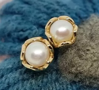 Genuine Pandora 14k Gold White Pearl Stud Earrings 💕 G585 ALE  • £240