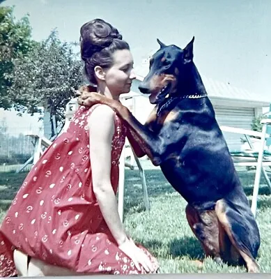 VINTAGE PHOTO Pretty Woman W BEEHIVE HAIRDO Poses With Giant DOBERMAN DOG 1960s • $9.99