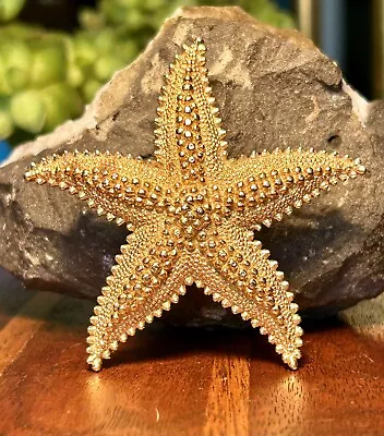 Vintage Starfish Brooch Realistic Figural Gold Tone Pin Signed Monet Vtg Retro  • $23