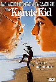 Karate Kid (DVD 2007) • £0.50