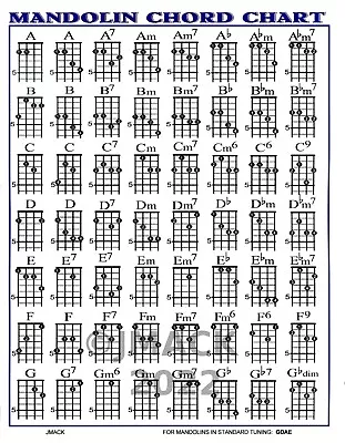 Mandolin Chord Chart For Mandolin • $5.99