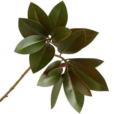 Factory Direct Craft Artificial Magnolia Leaf Spray | For Indoor Decor | 26 • $18.36