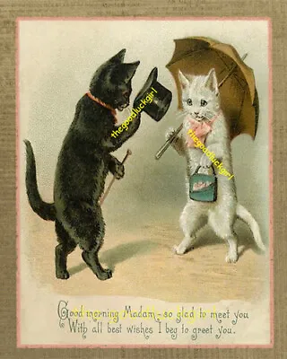 5x7 Vintage 1928 GREETINGS TO YOU Postcard Cat Kitten Art Print Picture • $7.99