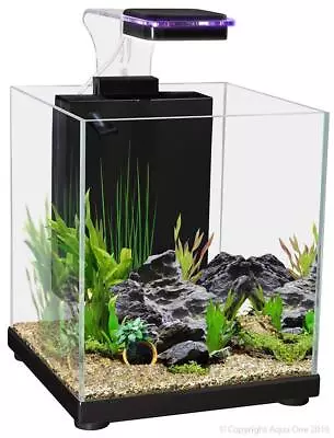 Aqua One Betta Fighter Fish Sanctuary Aquarium Fish Tank Black 10 Litre • $115