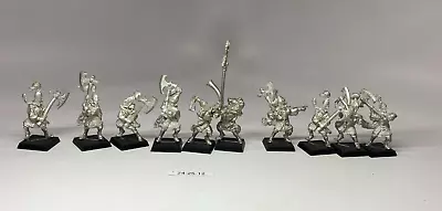 Warhammer Fantasy High Elves -  High Elf  White Lions Of Chrace X10 With Command • $85