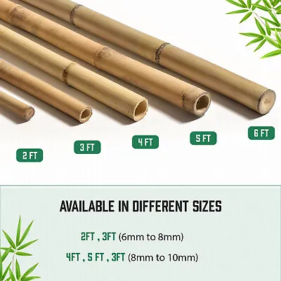 Bamboo Heavy Duty Garden Canes Thick Quality Flower Plant Support Cane Stake • £11.02