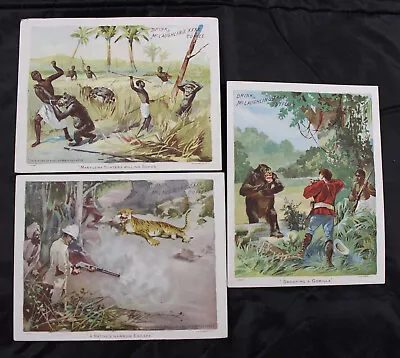 3 VICTORIAN ADVERTISING TRADE CARDS ~ McLAUGHLIN'S XXXX COFFEE ~ GORILLA JUNGLE • $17.99