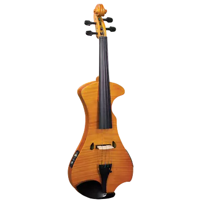 Hidersine HEV2 4/4 Electric Student Violin Outfit • $647.95