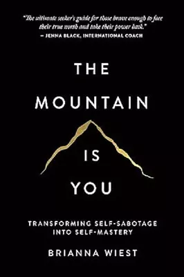 The Mountain Is You  Paperback • $11.78