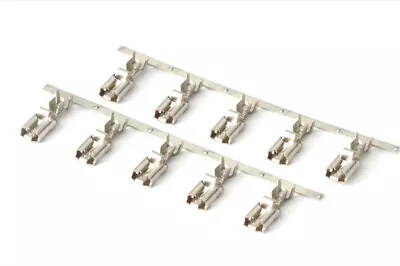 Haltech ECU Pins Only Suit Relays Only In The 6 Circuit Fuse Box Pack Of 10 • $22.03