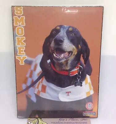 Smokey Tennessee Mascot Ut Dog Football Plaque Picture  New 4.5 X 6 • $4.95