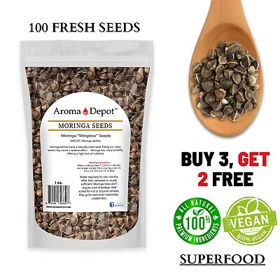 Moringa Seeds 1 Oz. Wingless Semillas De Moringa Pepa Oleifera Approx. 100 Seeds • $6.15