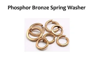 BRASS Phosphor Bronze SPRING WASHERS M3 M4 M5 M6 M8 M10 M12 British Made • £1.99