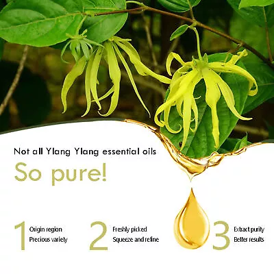 FEXMS Ylang Ylang Essential Oil Plant Natural Fragrance Oil For SPA Massage REL • £5.66