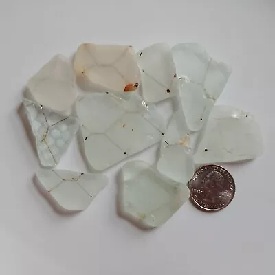 10 Chicken Wire Safety Sea Glass Pcs Genuine Surf Tumbled Beach Glass White  • $15