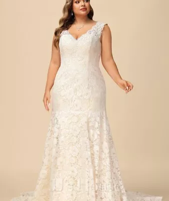 Plus Size Wedding Dress • $200