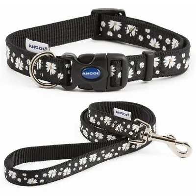 £6.10 • Buy Ancol Dog Collar Or Lead Black Daisy Adjustable Puppy Nylon Snap Buckle Fashion