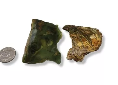 Morrisonite Jasper Thin End Pieces 45 Grams Oregon Lapidary Rough 2 Pc Lot • $6.29