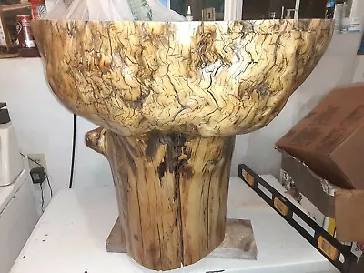 Live Natural Edge Polyurethane Coffee End Table White Cedar Tree Log Stump Burl  • $350