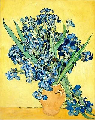 Irises By Vincent Van Gogh Art Painting Print • $9.99