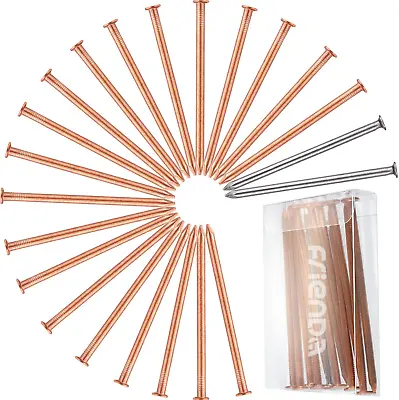 Frienda 20 Pcs Copper Nails For Killing Trees Stump Root 3.5 Inch Long Nail Spik • £23.78