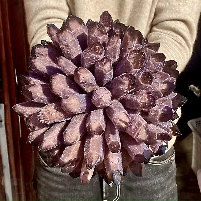 11.9LB  New Find Purple Phantom Quartz Crystal Cluster Mineral Specimen Healing • $0.99