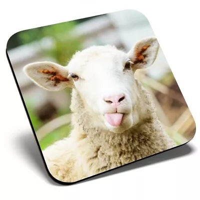 £3.99 • Buy Square Single Coaster - Cute Funny Sheep Animals Farmer Farm  #8553
