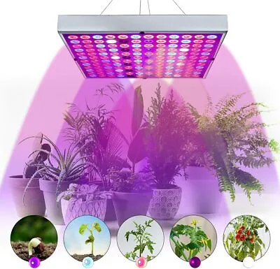 $34.99 • Buy 1000W LED Plant Grow Light Full Spectrum Weed Fruit Warm Lamp Indoor Greenhouse