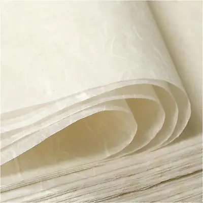 50/100 Sheets  A4 Mulberry Paper Sheets Natural Fiber Rice Paper8.3x11.7in Natu • $21.99