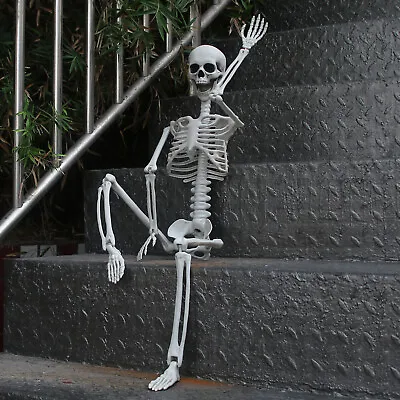 Life Size 3Ft Posable Halloween Human Skeleton Decor Indoor/Outdoor Horror Prop • $25.86