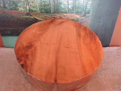 SPALTED MAPLE CROTCH  12 X 3 Turning Wood Bowl Large Project Blank • $55