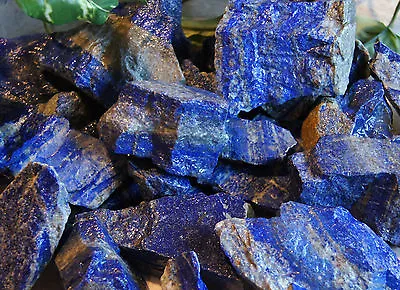 Lapis Lazuli 1/2 LB Lot Gemstones Minerals Specimens Cabbing Rough Lapidary Rock • $26