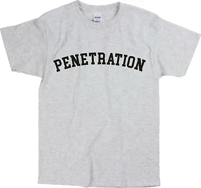 'Penetration!' Retro Punk Grey T-Shirt- 70's Punk Rock Top S-XXL • £19.99