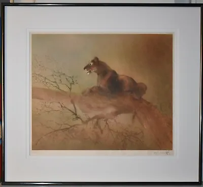 Listed Indian Artist KAIKO MOTI Signed Original Etching Aquatint 'Lioness' • $500