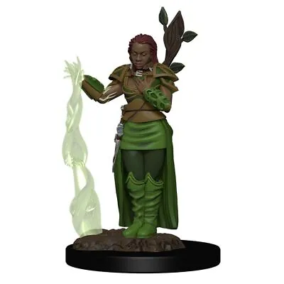 $18.95 • Buy Dungeons & Dragons Human Female Druid Premium Figure