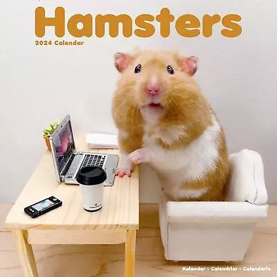 Hamsters 2024 Square Wall Calendar 12 X 12 • £6.99