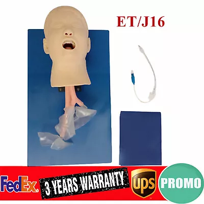 $195 • Buy Intubation Manikin Study Teaching Training Model Airway Management Trainer USA